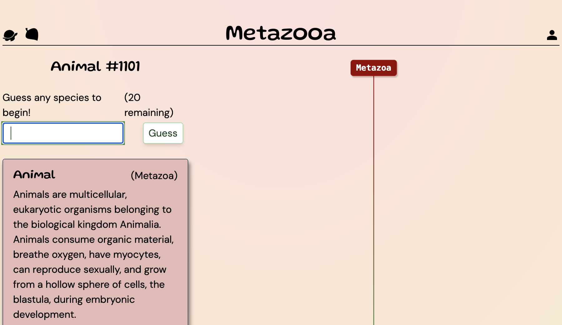 Metazooa after one guess, with a branching taxonomy diagram on the right joining Metazoa to Euteleostomi and a caption reading that the answer and clownfish have this in common